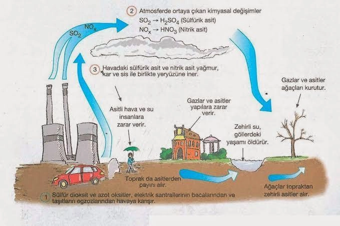 Asit Yağmuru Nedir? Nasıl Oluşur? Zararları Nelerdir? 